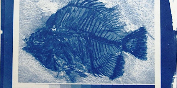 PrintJam: Cyanotype; blauwer dan blauw!