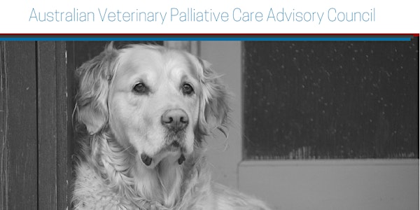 2021 Australian Veterinary Palliative Care Virtual Conference
