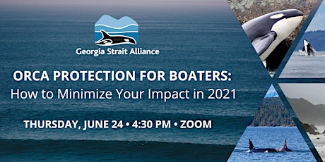 Imagen principal de Orca Protection for Boaters: How to Minimize Your Impact in 2021