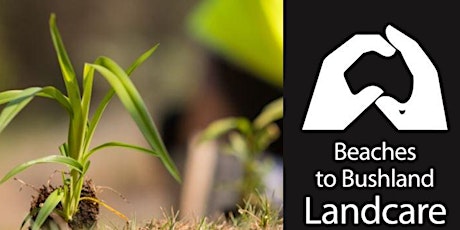 Bonogin Bushcare Group Tree Planting tickets