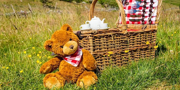 Teddy Bears Picnic & Teddy hunt, then parachuting off the tower