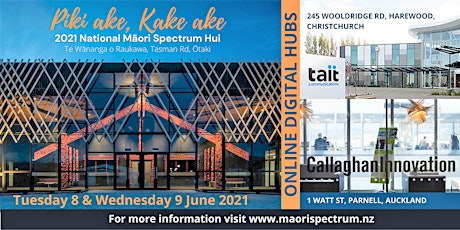 Piki ake, Kake ake. National Māori Spectrum Hui primary image