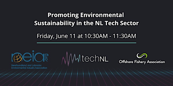 Promoting Environmental Sustainability in the NL Tech Sector