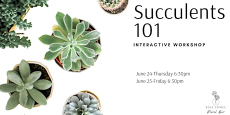 Succulents 101 : Interactive workshop primary image