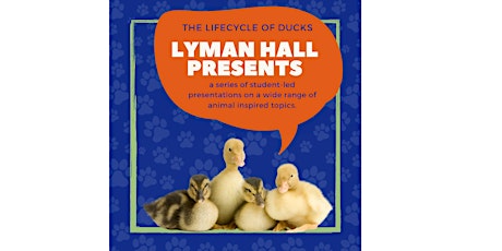 Lyman Hall Presents: The Lifecycle of Baby Ducks primary image