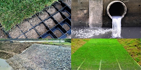 Handling our Stormwater primary image