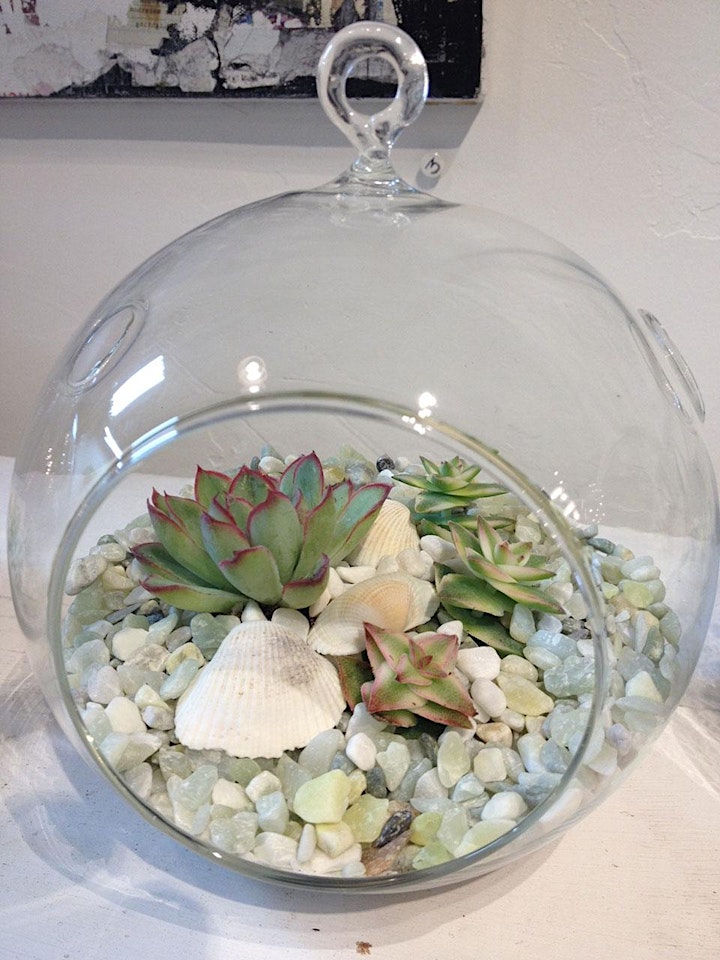 In Person! Terrarium Workshop - Sat Aug 20th image
