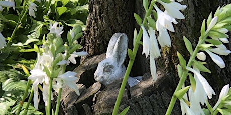 Hauptbild für Awakening In Nature Retreat