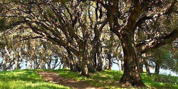 ABL-SF and AABA Joint Hike: June 27