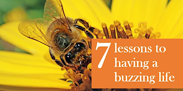 7 lessons to having a buzzing life
