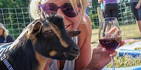 Goat Yoga in the Country with Mimosas!!!
