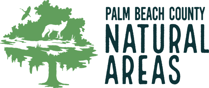 Adventure Awaits - Swamp Tromp at Acreage Pines Na image