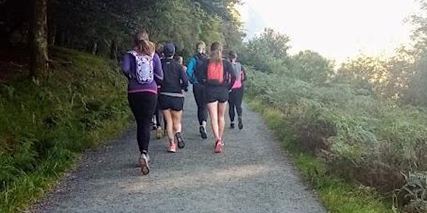 Beginner Trail Run