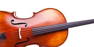 Schnupperstunde  Violine  oder Bratsche bei C. Krebs MSV, Schalksmühle