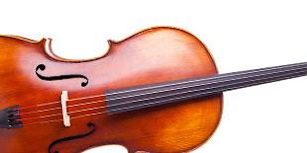 Schnupperstunde  Violine  oder Bratsche bei D. Daniel MSV, Meinerzhagen