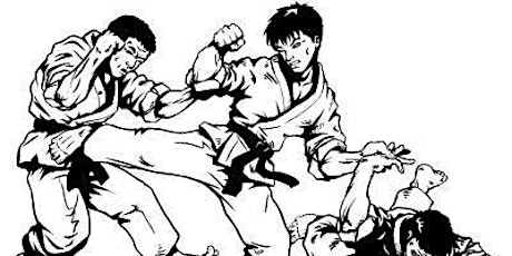 Immagine principale di Hapkido Passione Arcadia Torino  http://passionearcadia.it/hapkido-torino/ 