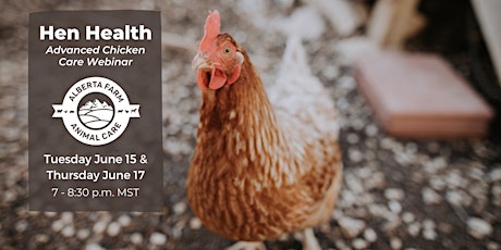 Hen Health - Advanced Chicken Care Webinar