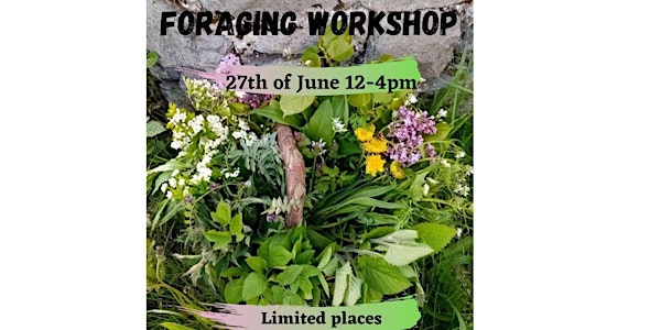 Wild food foraging workshop