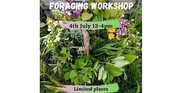 Wild food foraging workshop
