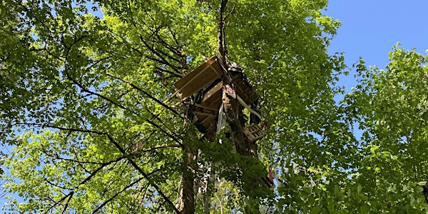 Tours to the Treehouse - where the Hummingbird stopped the pipeline!
