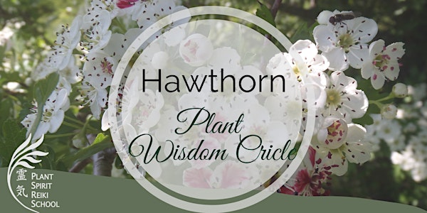 Hawthorn Plant Wisdom Circle