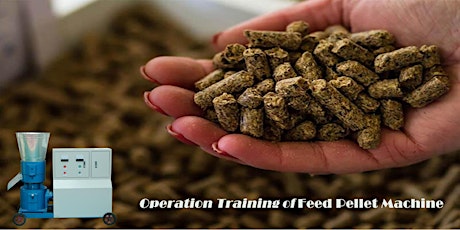 Practical Operation Training of Feed Pellet Machine