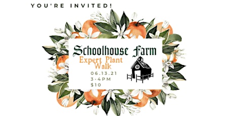 Schoolhouse Farm Open House: Plant walk with experts primary image