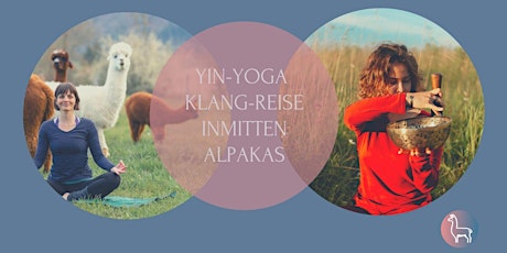 Yin Yoga  Klangreise inmitten Alpakas Bern Nord