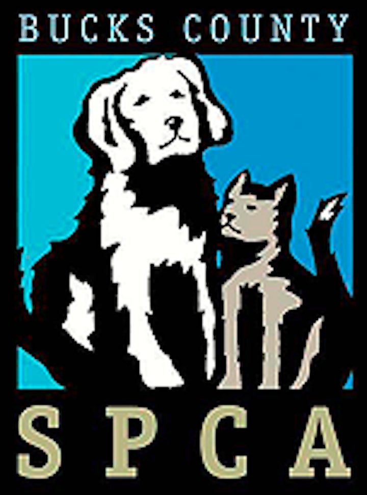 SCRAMBLED! SMALL WORKS SHOW to benefit  BCSPCA & PINE2PINK- 1st Anniversary image
