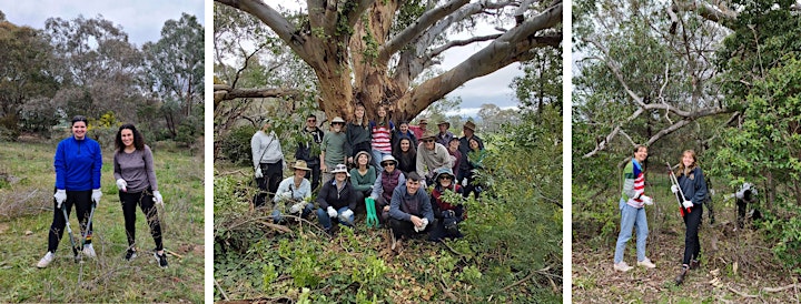 
		Landcare for our Future Finale: Tree Planting image
