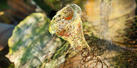 Make a Small Sculpture using Recycled Materials primary image