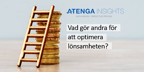 Vad gör andra för att optimera lönsamheten?  primärbild