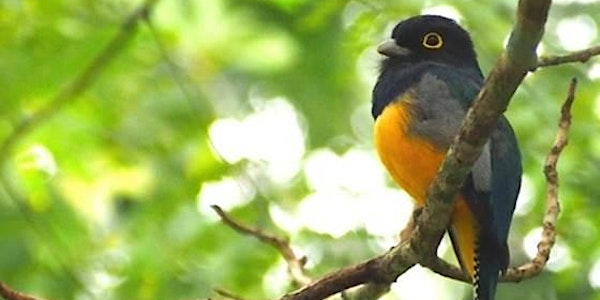BES Tropical Ecology Group Early Career Researcher Meeting 2015