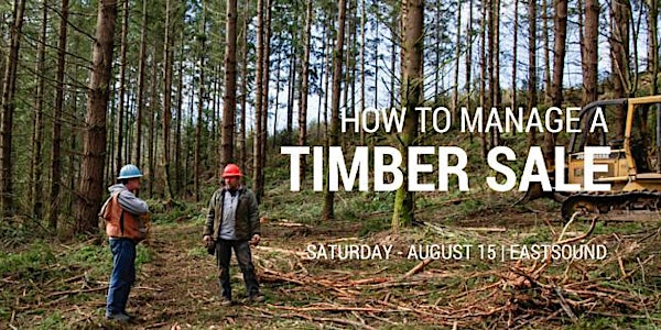 How to Manage a Timber Sale