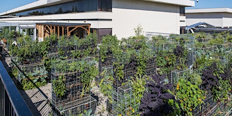 Visite de notre ferme urbaine Peas&Love@Parly2