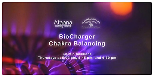 BioCharger Chakra Balancing Session