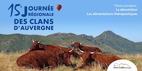 Image principale de 15ème journée régionale des clans d'Auvergne IL