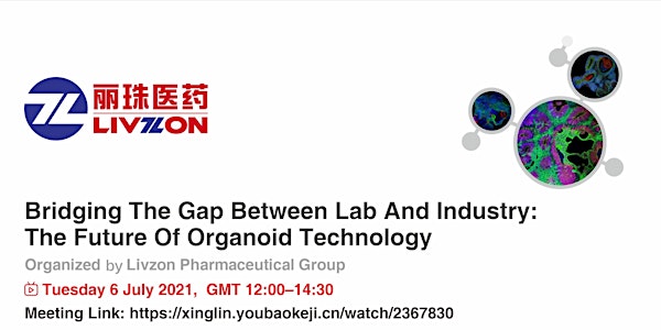 Bridging the gap between lab and industry: Future of organoid technology