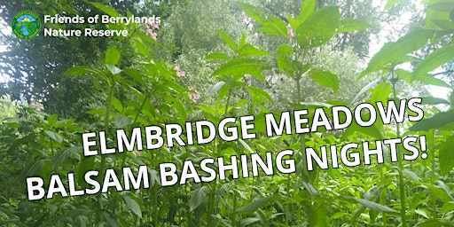 Elmbridge Meadows Nature Reserve - Evening Balsam Bashing