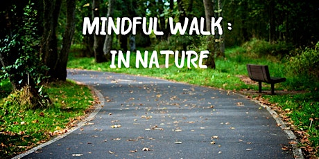 Mindful Walk in Nature