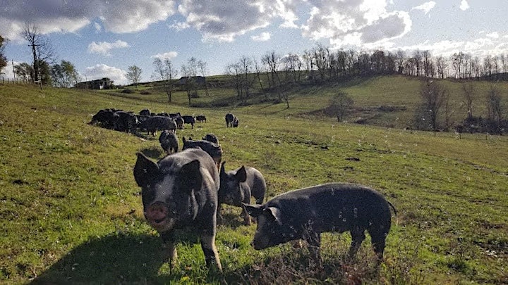 Interactive Tour at Birch Creek Farmery image