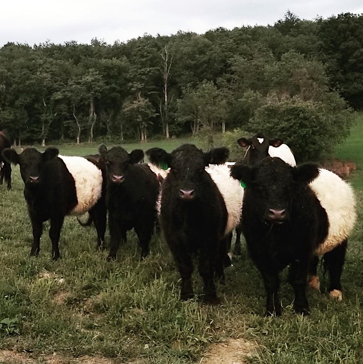 Interactive Tour at Birch Creek Farmery image