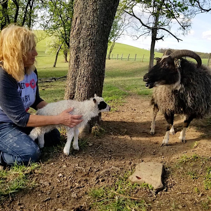 Interactive Tour at Birch Creek Farmery image