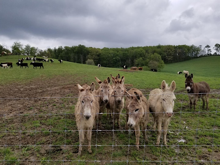 Interactive Tour at Birch Creek Farmery image