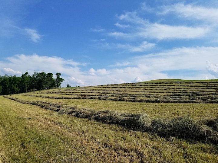 Interactive Tour at Birch Creek Farmery image