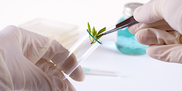 Sanitation and Testing Requirements for Cannabis Production, May 28, 2022