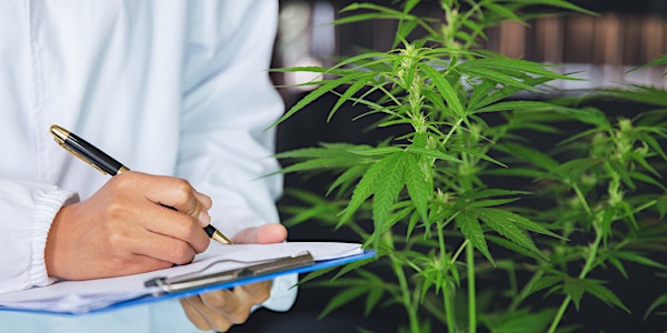 Technical Writing, Audit and Inspection Programs for Cannabis May 29, 2022