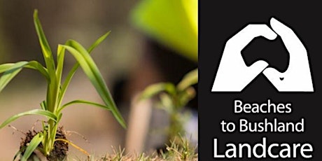 Elanora Bushcare Group Tree Planting tickets