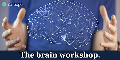 The brain workshop (online) - Register interest primary image