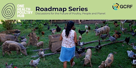 Food system governance: the food, disease, environment nexus